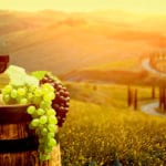 Винные удовольствия