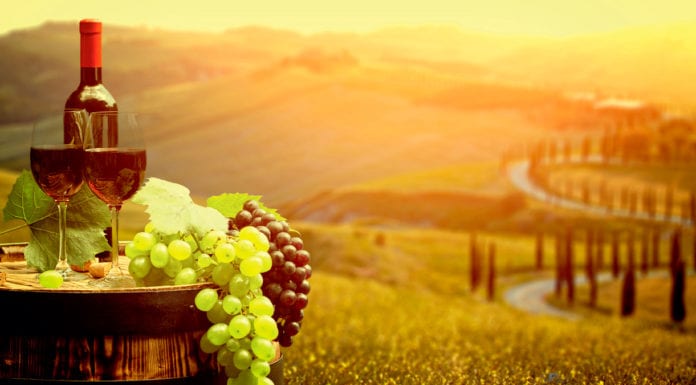 Винные удовольствия Винные удовольствия