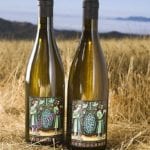 Вино в законе или тот самый случай, когда Дионис и Фемида заодно