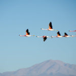 Кадровые миграции сезона