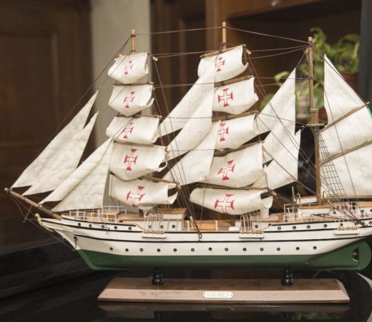 Встреча юристов с легендой парусной журналистики Еленой Отекиной