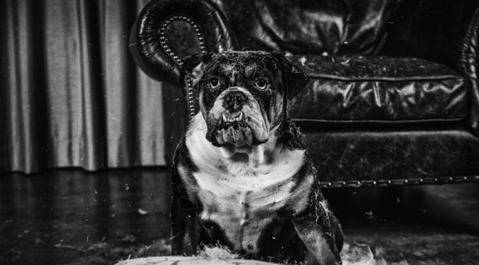 Практические рекомендации лидерам юридических команд