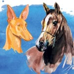 Проект «собака», или А конь-то кусается. Часть 1
