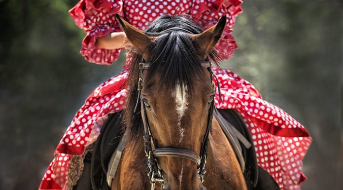 Проект «собака», или А конь-то кусается! Часть 2