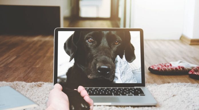 Спешите творить добро: это совсем просто