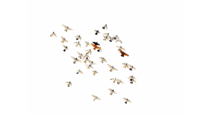 Новые переходы внутрикорпоративных юристов