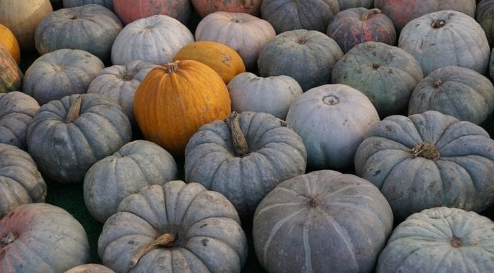 Осенний урожай в ритейле