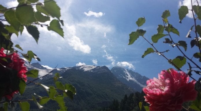 Перезимовать лето