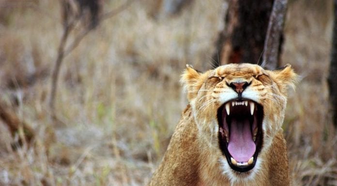 Джон Куинн рассердился