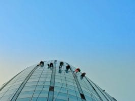 Как эффективно развивать команду