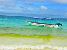 Акуна Матата: волшебный остров Занзибар