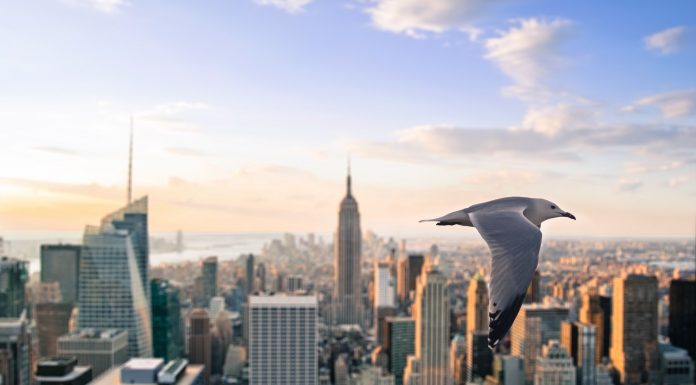 Директором юридического департамента Группы компаний ЛАНИТ назначен Евгений Журба