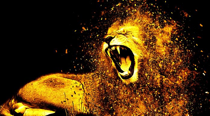 Карьерные новости