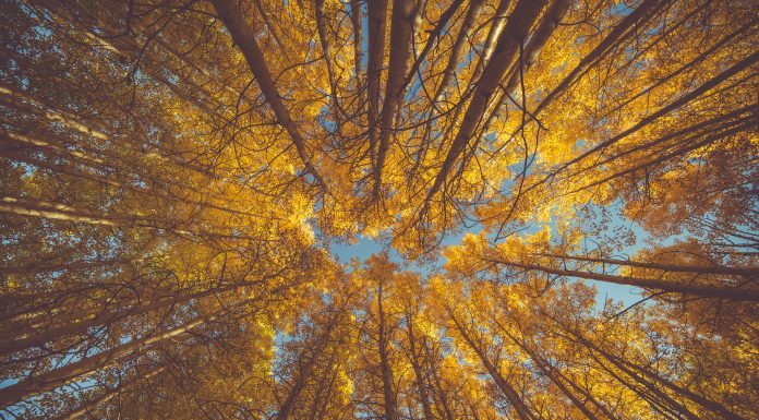 Кадровые новости