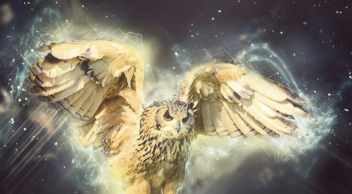 Изменение организационной структуры SOVA Capital Limited