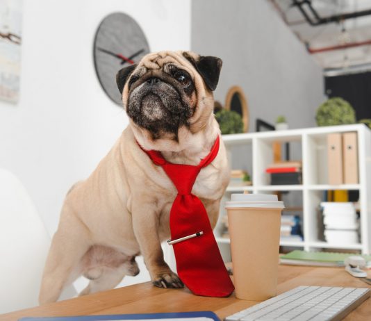 Профессиональная деформация юриста