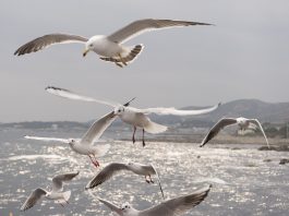 Кадровые новости. Валерий Сиднев