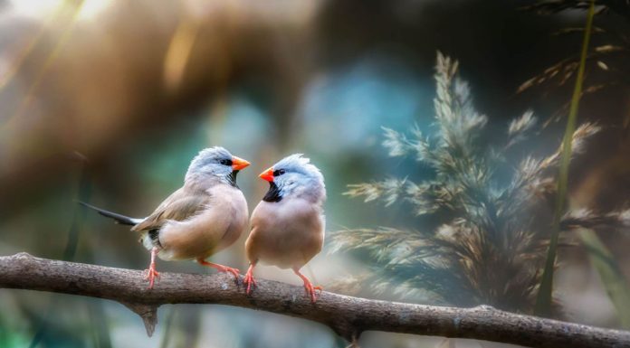 Карьерные новости. Екатерина Казакова и Мария Шабанова