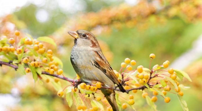 Кадровые новости. Юрий Гейдорф