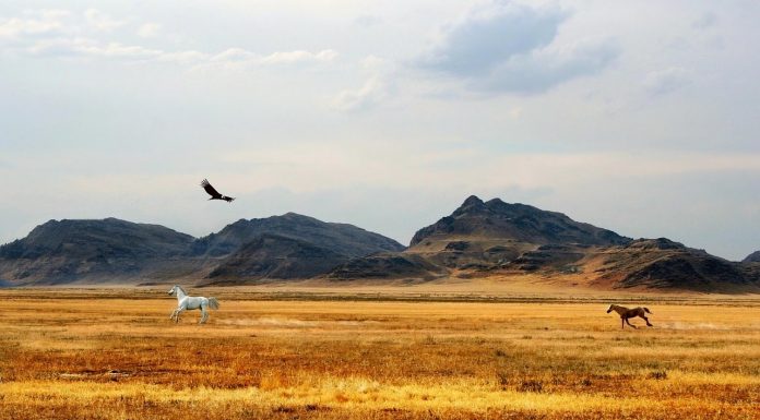 Карьерные новости. Тарабрин Александр