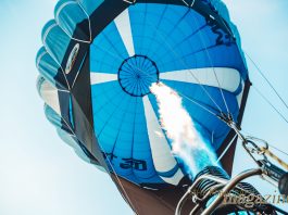 Итоги Legal Executive Assembly 2020 в Завидово