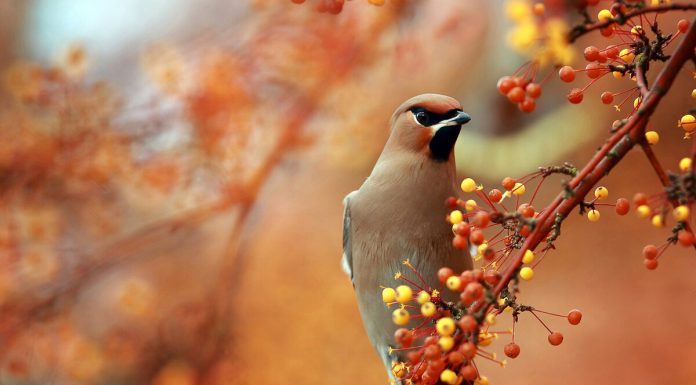 Кадровые новости. Анатолий Вечерка