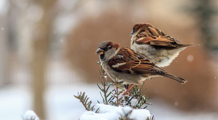 Новый партнер в «Рыбалкин, Горцунян и Партнеры»