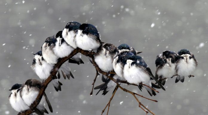 Кадровые изменения в Forward Legal