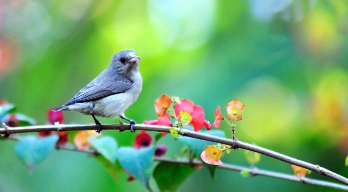 Кадровые новости. Елена Ващук
