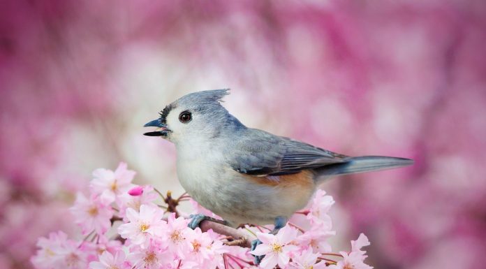 Кадровые новости. Наталья Ковтуненко