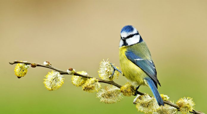 Кадровые новости. Егор Нуждин Кадровые новости. Егор Нуждин