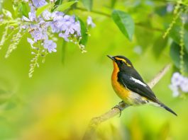 Кадровые новости. Татьяна Минина