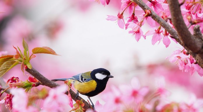 Кадровые новости. Елена Кучерявая