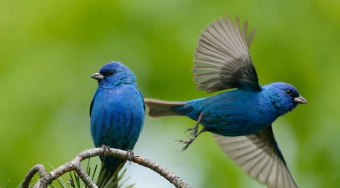 Кадровые новости. Максим Залазаев