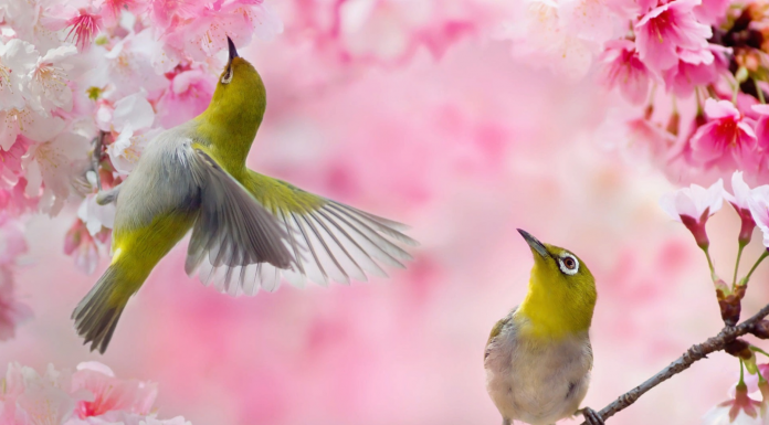 Кадровые новости. Вера Колесник и Татьяна Паняева