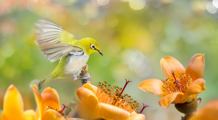Кадровые новости. Екатерина Кулагина