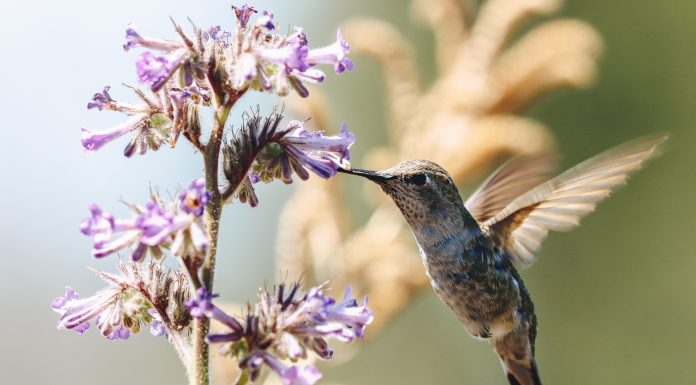 Кадровые новости. Наталья Логинова