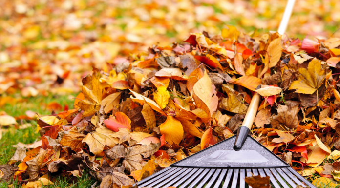 Глобальная уборка законодательства уже началась