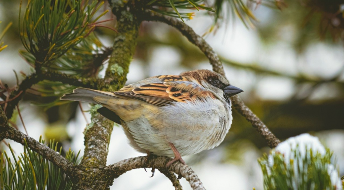 Кадровая новость. Пётр Иванцов
