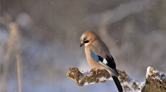 Кадровые новости. Александр Смирнов