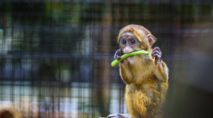 Кто не работает, тот не ест