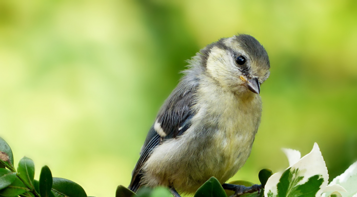Кадровые новости. Жанна Седова