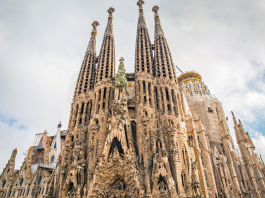 Архитекторы в бионике, бионика в архитектуре АРХИТЕКТОРЫ В БИОНИКЕ, БИОНИКА В АРХИТЕКТУРЕ Автор: Елена Алабужева, архитектор, основатель ООО "Архитектурная мастерская 1.618"