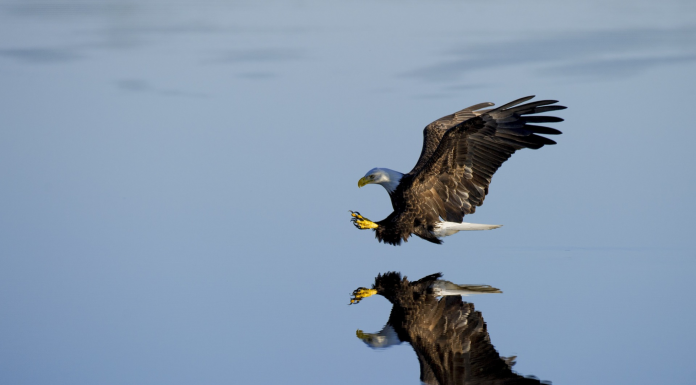 Кадровые новости. Петр Максимов
