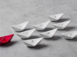 Менторство и поддержка юристов