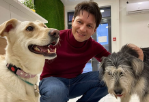 Создать и развить ветеринарную клинику в эпоху глобальных кризисов Интервью с Алексеем Маловатским