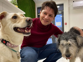 Создать и развить ветеринарную клинику в эпоху глобальных кризисов Интервью с Алексеем Маловатским