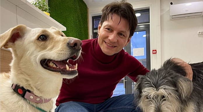 Создать и развить ветеринарную клинику в эпоху глобальных кризисов Интервью с Алексеем Маловатским