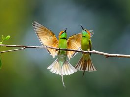 «Рустам Курмаев и партнеры» усиливает направление «антимонопольное право»